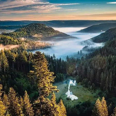 Restaurant Kniebishoehe Hotel *