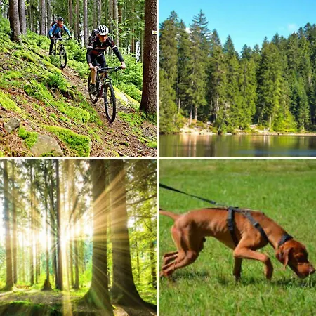 Hotel Restaurant Kniebishoehe *