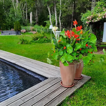 Restaurant Kniebishoehe Hotel *