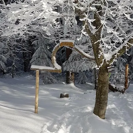 Hotel Restaurant Kniebishoehe Freudenstadt