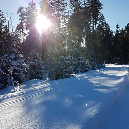 Restaurant Kniebishoehe Hotel Freudenstadt