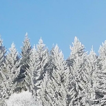 Restaurant Kniebishoehe * Freudenstadt