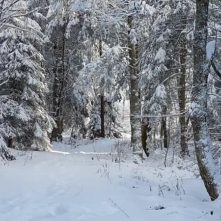 Restaurant Kniebishoehe * Freudenstadt