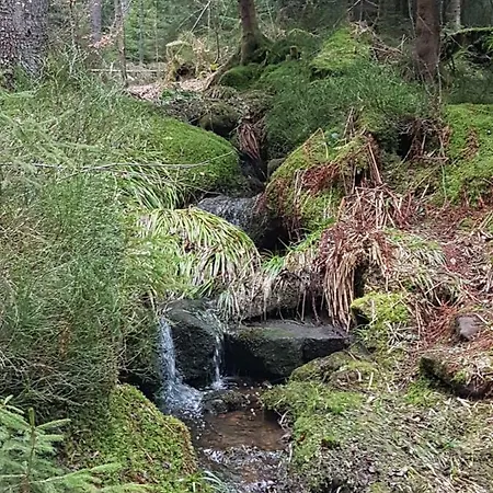 Restaurant Kniebishoehe Hotel Freudenstadt