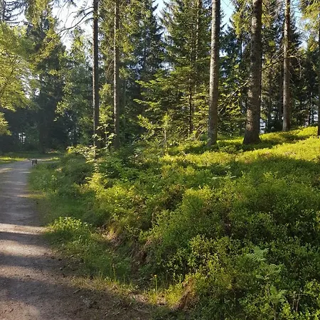 Hotel Restaurant Kniebishoehe Freudenstadt