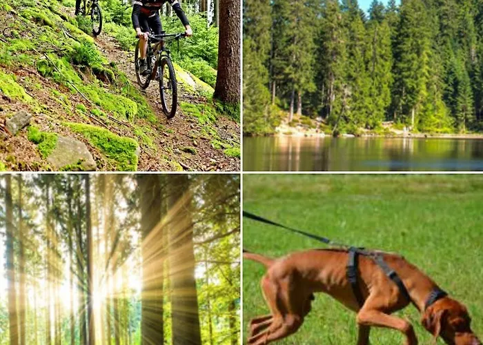 Hotel Restaurant Kniebishoehe *