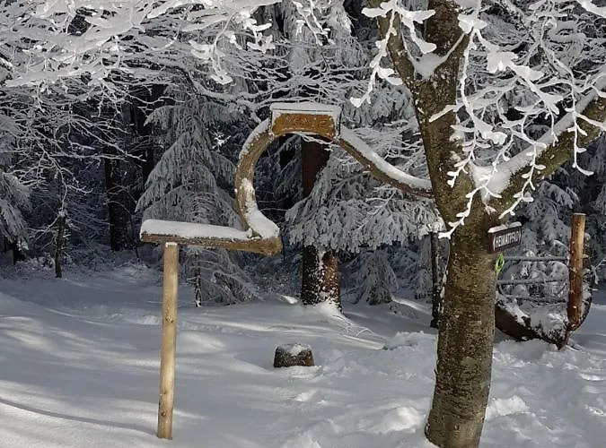 Hotel Restaurant Kniebishoehe Freudenstadt