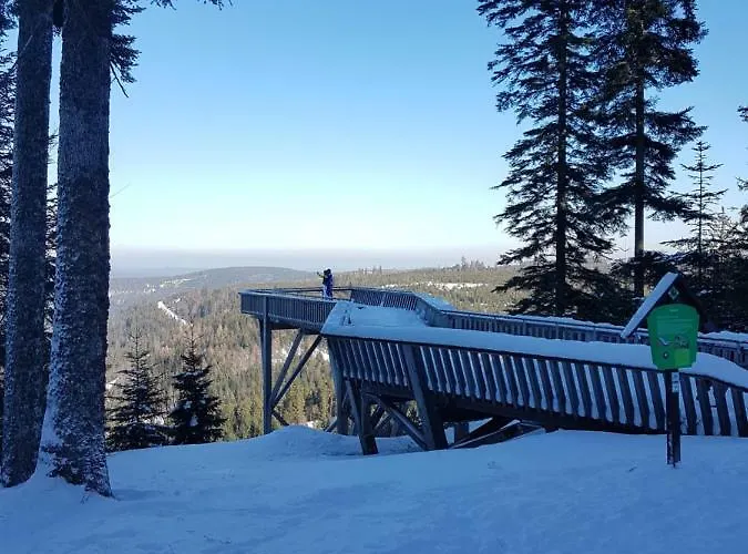 Hotel Restaurant Kniebishoehe Freudenstadt