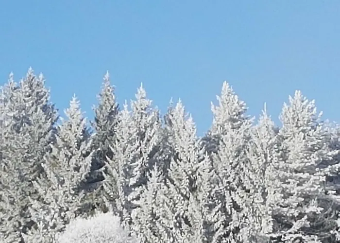 Restaurant Kniebishoehe * Freudenstadt