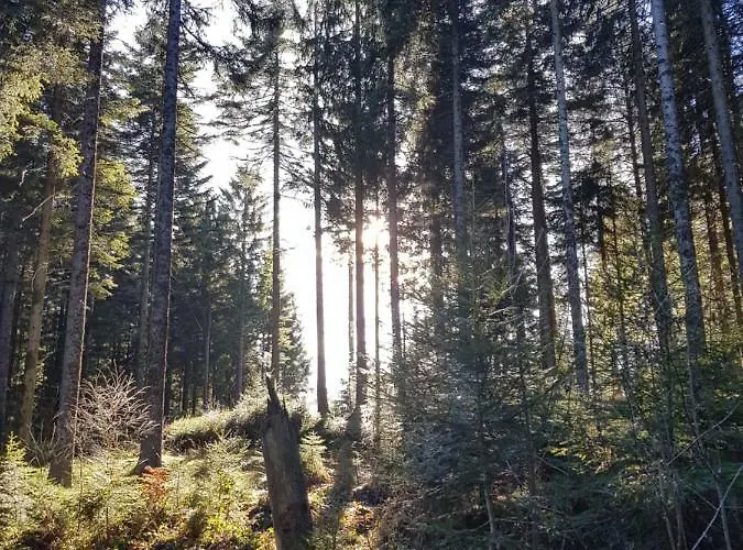 Restaurant Kniebishoehe